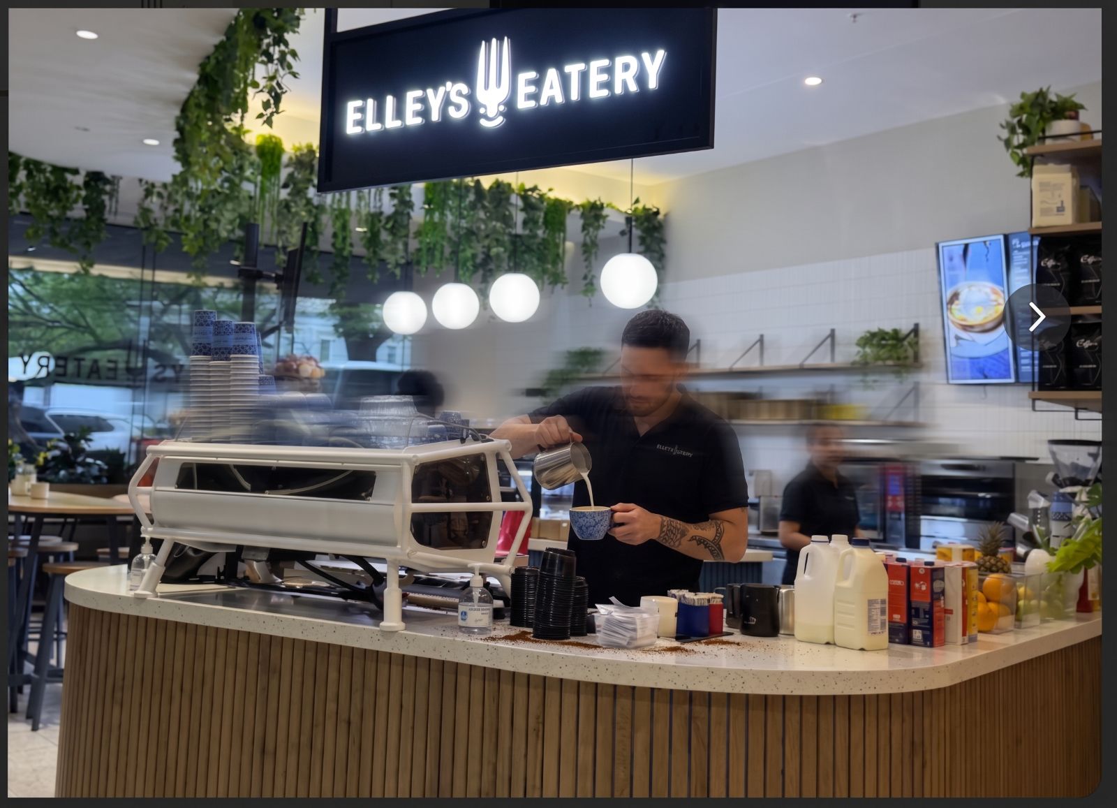 Inside Elley's Eatery — barista at the counter